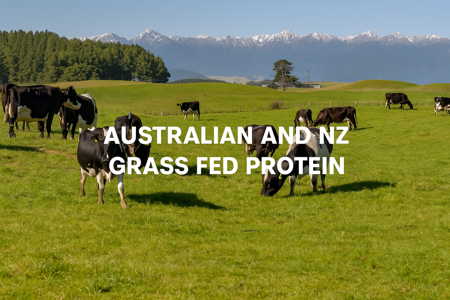 Heavy Metals in Protein Powders: Why Australian & New Zealand Protein Leads in Purity
