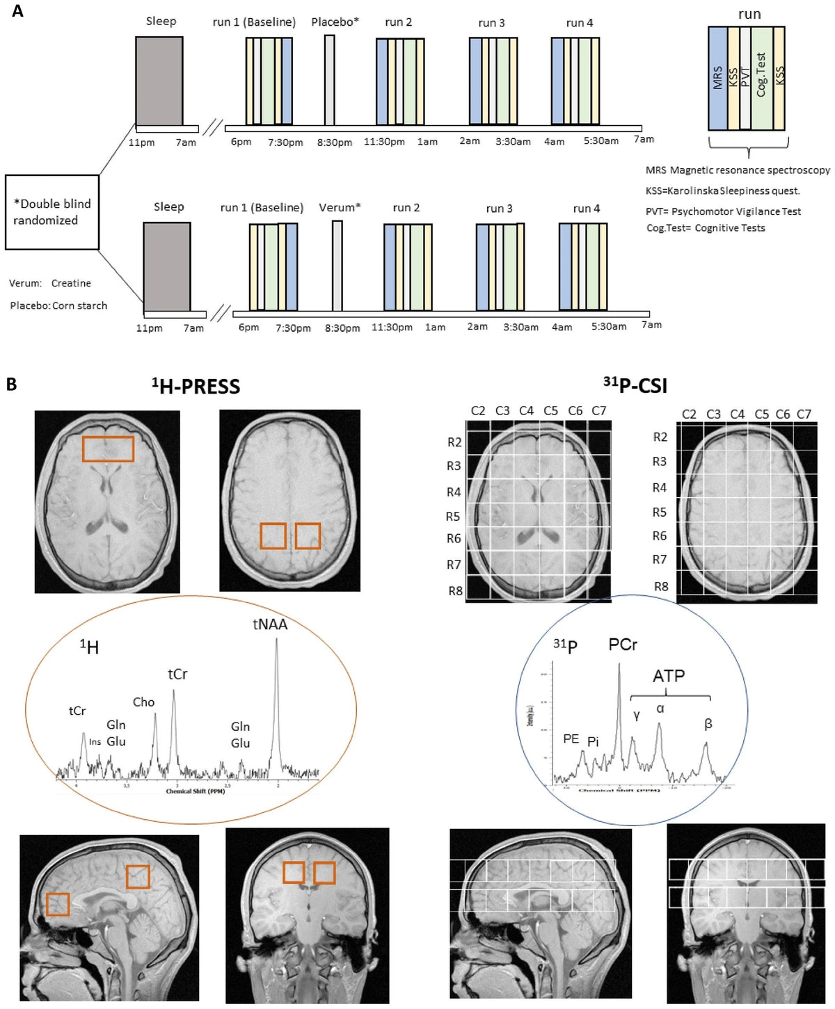 How Much Creatine to Take for Brain Health ?