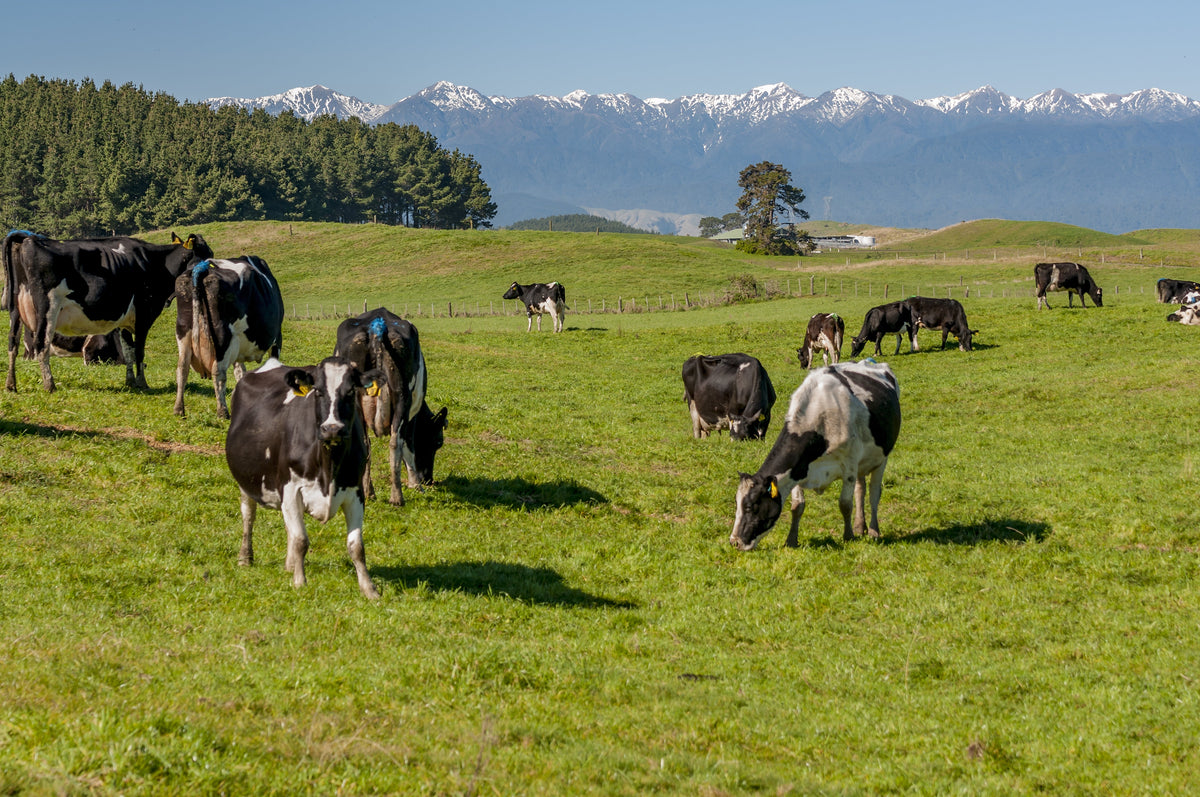 Why Our WPI Comes From New Zealand and Our WPC From Australia