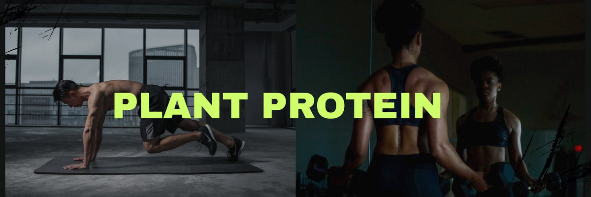 PLANT, Pure Product Australia